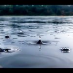 Raindrops on Lake