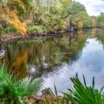 River Rise - Santa Fe River
